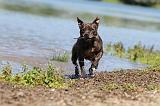 STAFFIE 162